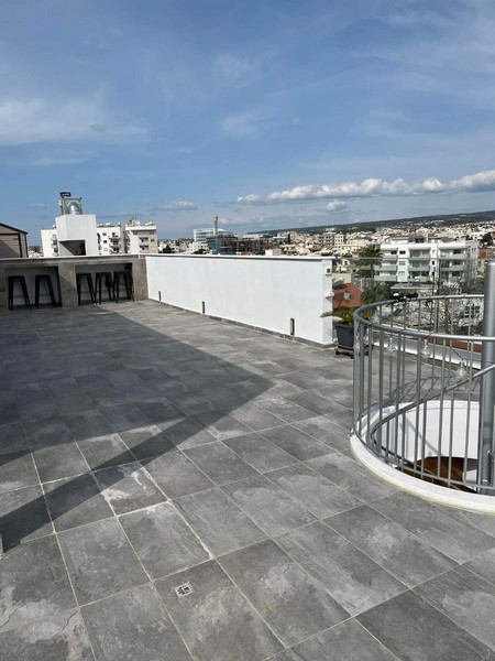 luxurious flat with roof garden