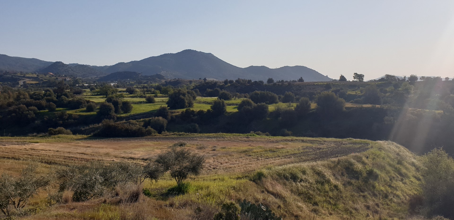 Agriculture field at Parekklishia