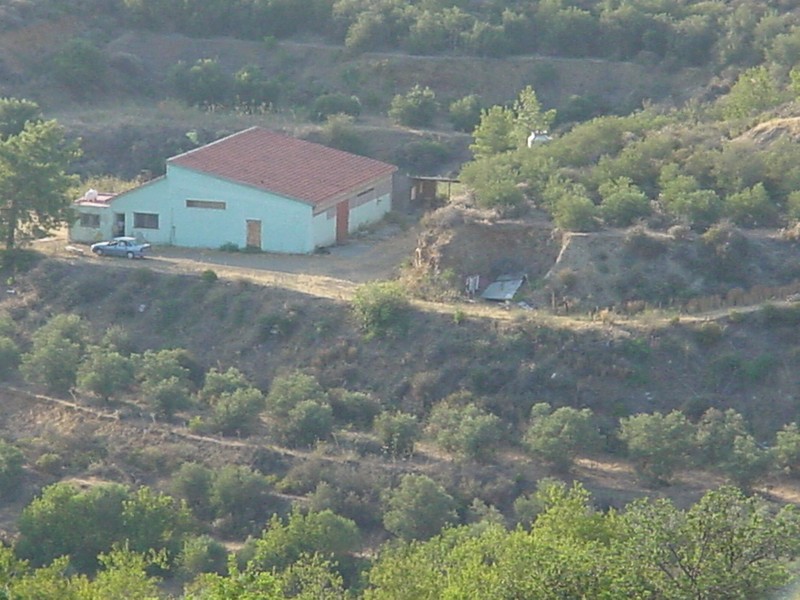 Specialized Properties - Buildings